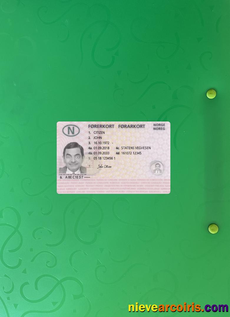 Norway driving license 2018-present photolook
